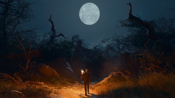 The Witcher 3 Songs of the Past — новый регион Леттен